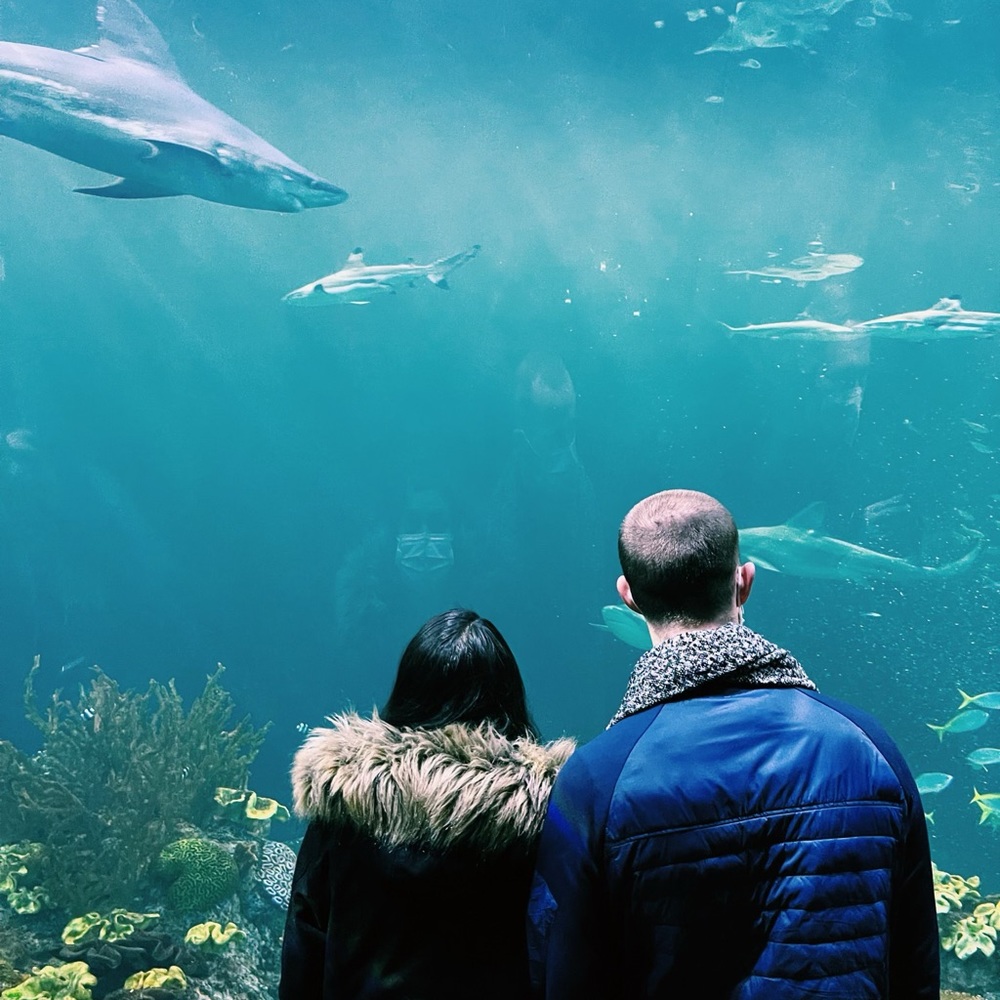 Meet your Posher, Kavishka